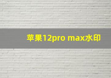 苹果12pro max水印